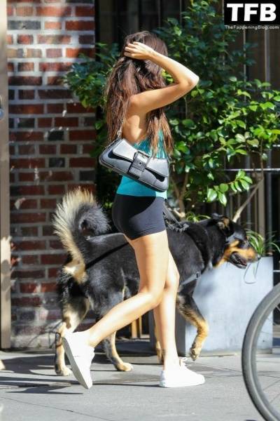Leggy Emily Ratajkowski Takes Her Dog For a Stroll in New York City - city New York on modelies.com